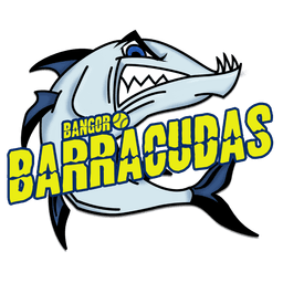 Barracudas badge